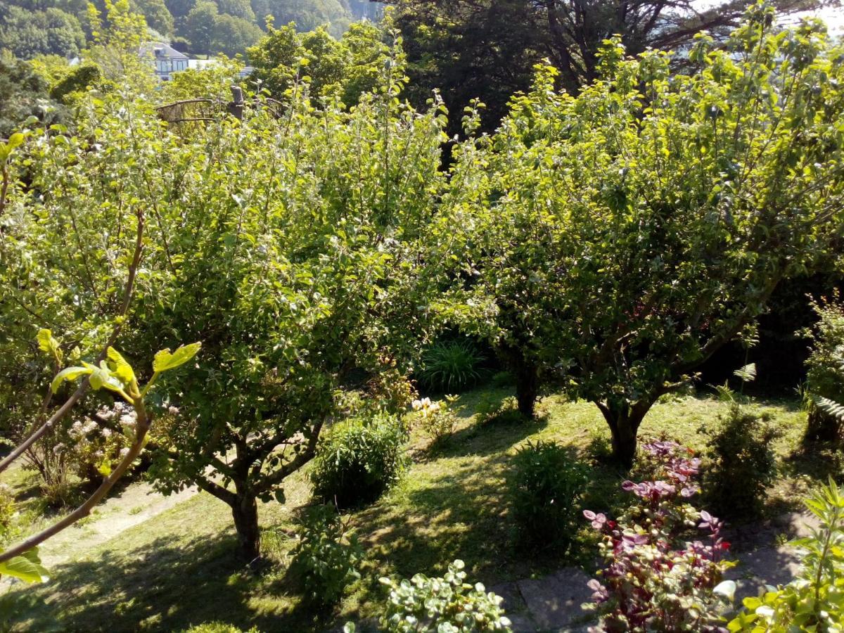 12 Impasse Damilaville Étretat Dış mekan fotoğraf
