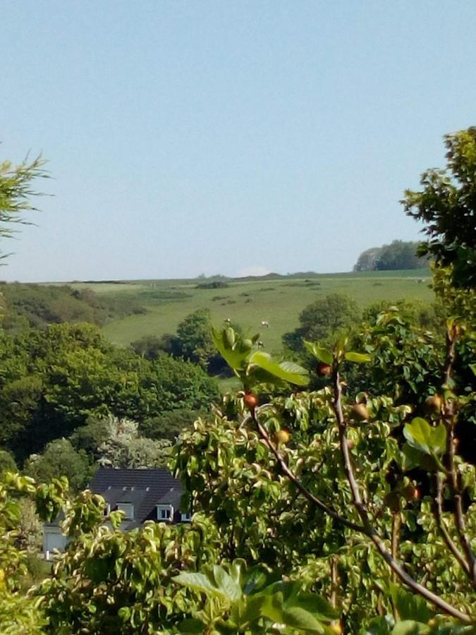 12 Impasse Damilaville Étretat Dış mekan fotoğraf